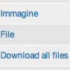 Esempio di campi File, Image e Download